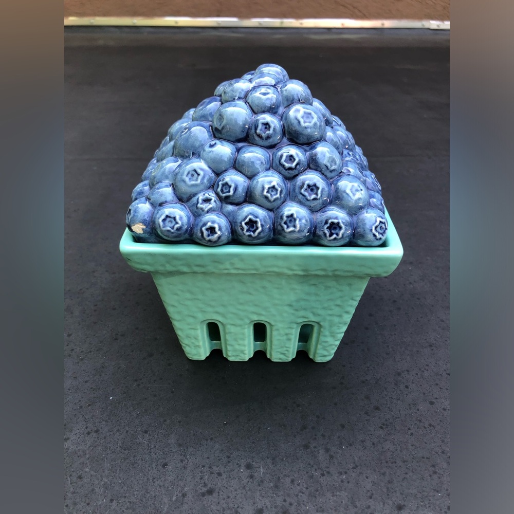 Blueberry Container - Picture 3 of 6